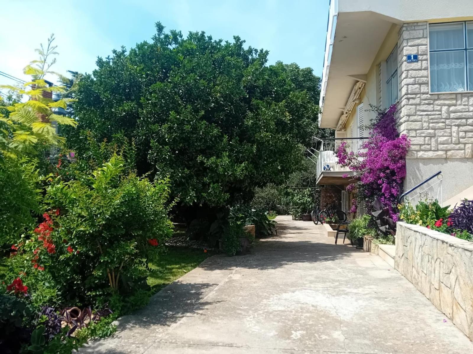 Apartments Angie Zadar Ngoại thất bức ảnh
