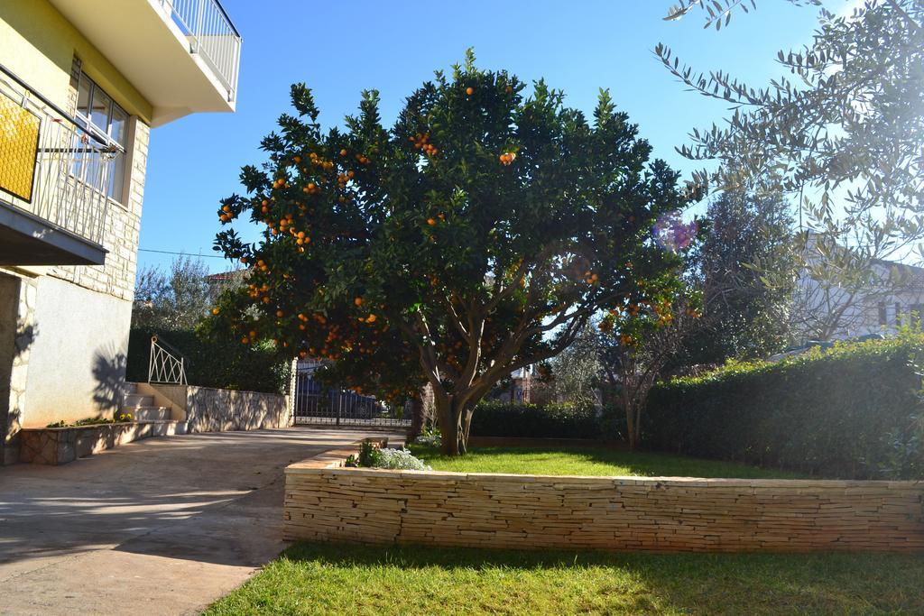 Apartments Angie Zadar Phòng bức ảnh